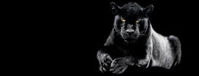 Jaguar With A Black Background