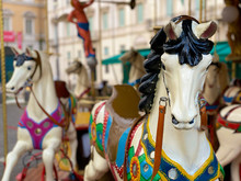 Horse Of The Carousel