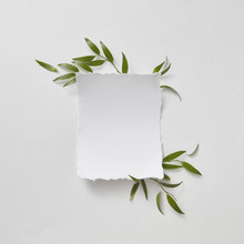 Natural Composition Of Green Branches And Blank Paper On Gray Paper Background With Copy Space. Flat Lay