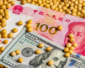 Wall Mural - Chinese 100 yuan renminbi and American 100 dollar bill surrounded with soybeans. Concept of China and United States of America tariffs, trade war, and commodity market prices.