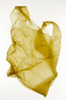 © Danil Nevsky/Stocksy - Empty plastic bag of yellow color