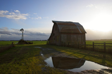 Wall Mural - old barn in reflection with windmill