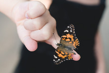 Butterfly On The Finger