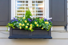 In A City Of Gardens, Beautiful Planter Boxes Are Seen In The Historic District Of Charleston, South Carolina, A Popular Slow Travel Destination In The Southern United States.
