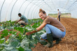 © Bonninstudio/Stocksy - Ecological agriculture.