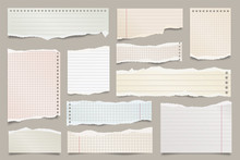 Colored Ripped Lined Paper Strips Collection. Realistic Paper Scraps With Torn Edges. Sticky Notes, Shreds Of Notebook Pages. Vector Illustration.