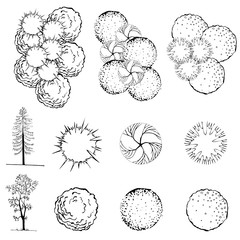 A set of treetop symbols, for architectural or landscape design