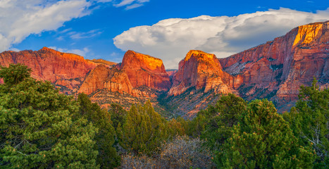Wall Mural - Panoramic view of Kolob Canyons at sunset.Zion National park.Utah.USA