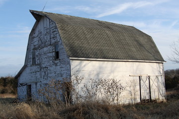 Wall Mural - Fading Farm Life 2019 II