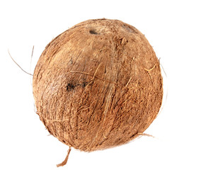 Coconut isolated on a white background