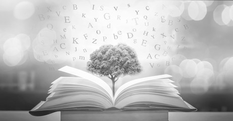 Poster - Imagine opening an old book blurred with magic power on the table and the English alphabet floating above the book with magic light as a beautiful background design.