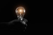 © Eakrin - Light bulbs with bright light  in hand with dark background concetp for creativity, knowledge and organizational leadership.