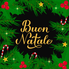 Wall Mural - Buon Natale calligraphy hand lettering with fir tree branches. Merry Christmas typography poster in Italian. Easy to edit vector template for greeting card, banner, flyer, etc.