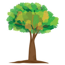 Isolated Green Tree Vector Design