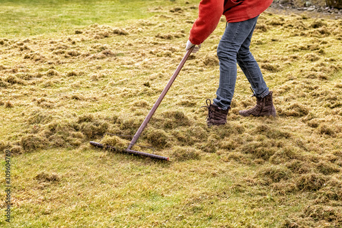 Fotografía Raking up the Debris Left Over by an Electric Lawn Dethatcher