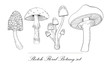 Mushrooms set hand drawn vector illustration. Sketch mushroom drawing isolated on white background. Organic vegetarian product. Great for menu, label, product packaging, recipe