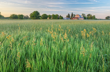 summer landscape of grassy meadow and farmstead, michigan, usa