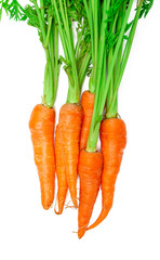 Wall Mural - fresh carrots isolated on a white background. Bunch of baby carrots isolated on white background.