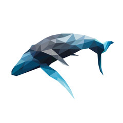 Wall Mural - Low poly illustration of whale