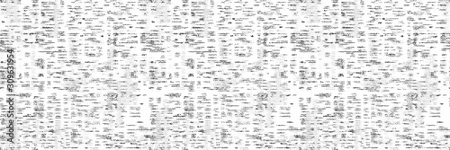 Fotomural Silver Birch Tree Bark Vector Banner Effect Texture Background