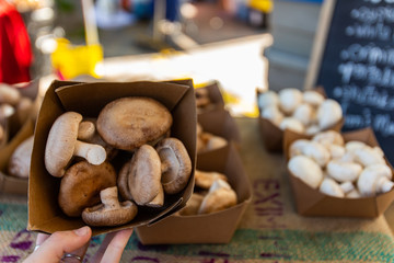 Cartons of organic mushrooms are seen close up as a shopper inspects quality at a market stall during a street food fair