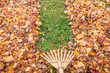 © Augustine - Raking fall leaves from lawn in autumn with a bamboo leaf rake. France