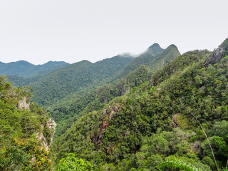 Wall Mural - overgrown mountains at Langkawi