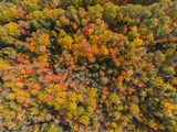 Fototapeta Do pokoju - White Mountain National Forest top view with fall foliage, Town of Sanbornton, New Hampshire NH, USA.