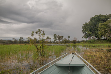 Canvas Print - Floodplains in the jungle, Parana do mamori, Amazon region, Brazil, South America