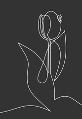 Wall Mural - Tulip one line drawing. Continuous line flower.