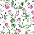 Beautiful pink roses and green leaves on white background. Seamless floral pattern. Watercolor painting. Hand drawn and painted illustration.