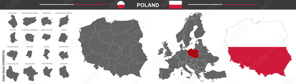 political vector map of Poland on white background - obrazy, fototapety, plakaty 
