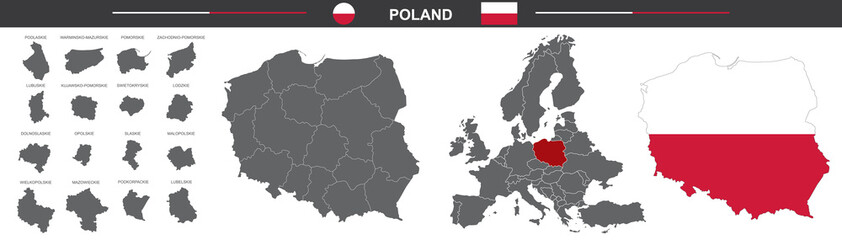 Wall Mural - political vector map of poland on white background