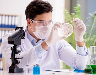 Male doctor working in the lab on virus vaccine