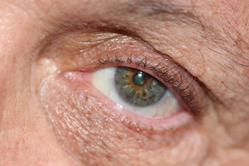 close up of an eye