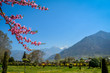 Landscape from Shalimar garden, Srinagar, India
