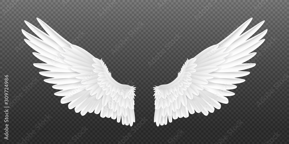 Realistic angel wings. White isolated pair of falcon wings, 3D bird wings design template. Vector concept white cute feathered wing animal on a transparent background - obrazy, fototapety, plakaty 
