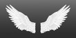 Realistic angel wings. White isolated pair of falcon wings, 3D bird wings design template. Vector concept white cute feathered wing animal on a transparent background