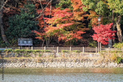 滋賀県米原市の三島池の紅葉と秋景色 Stock Photo Adobe Stock