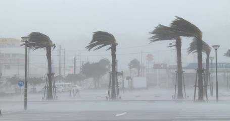 hurricane eyewall strikes city with strong wind - vong