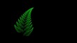 Green fractal fern
