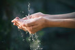 canvas print picture - closeup water flow to hand of women for nature concept on the garden background.