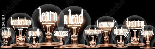 Fotografía Light Bulbs with Learn & Lead Concept