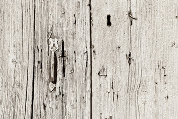 Wooden door texture