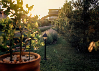 Green garden outside of modern vacation house, creation a home and home feeling