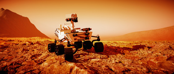 Wall Mural - a mars rover explores the red planet (3d rendering)