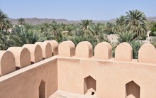 View Of Palm Tree Oasis From Corner Of Nizwa Castle, Oman