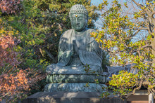 Giant Bronze Statue Depicting The Buddha Shaka Nyorai In The Tendai Buddhism Tennoji Temple In The Yanaka Cemetery Of Tokyo.