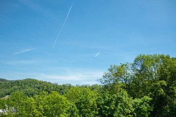 top fresh green forest and clear blue sky for background , copy space