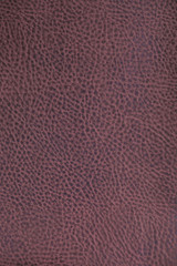 Canvas Print - texture purple leather for car interior